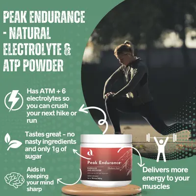 Electrolyte berry acai powder | AIM Peak Endurance