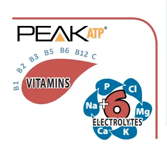 AIM Peak Endurance in South Africa - Electrolyte berry acai powder - Image 5