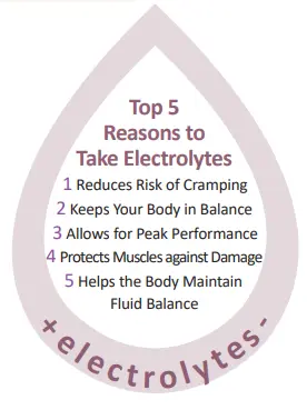 AIM Peak Endurance in South Africa - Electrolyte berry acai powder - Image 6